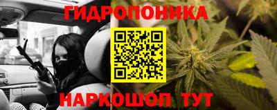 apvp Севастополь